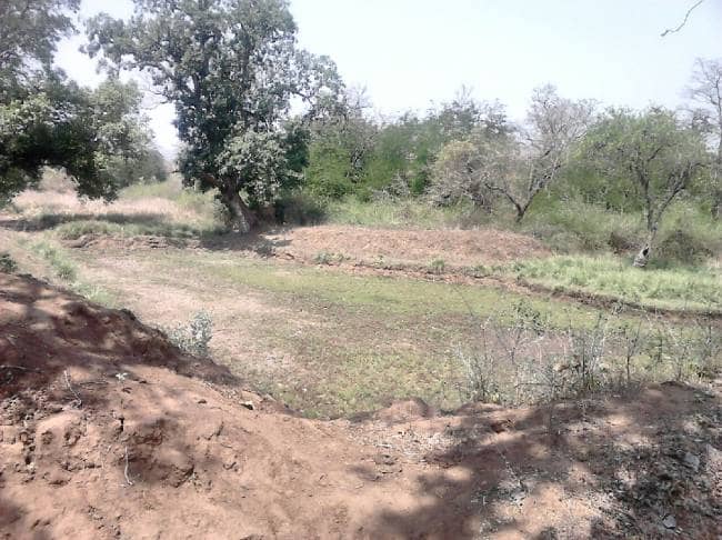 बेतला नेशनल पार्क : हो रही मशक्कत ताकि प्यासे न भटके वन्य जीव