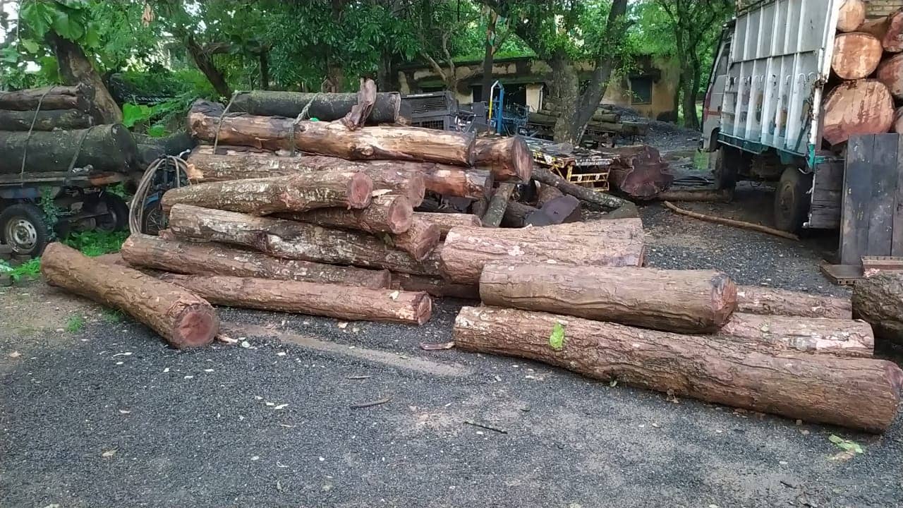 झारखंड से कीमती लकड़ी का तस्करी जारी, बंगाल जा रहे अवैध लकड़ी बरामद 