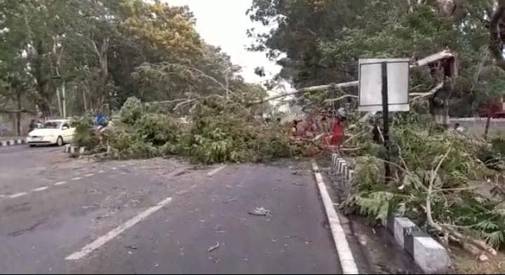 आंधी और बारिश से सड़कों पर पेड़ गिरे, हुईआवागमन और बिजली आपूर्ति बाधित