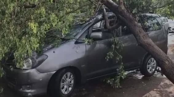 राजधानी के कई इलाकों में झमाझम बारिश के साथ ओलावृष्टि, कार पर गिरा पेड़