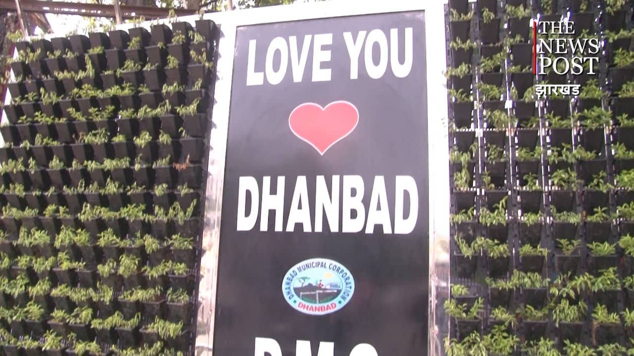 कोयलांचल की खूबसूरत वर्टिकल गार्डेन को उजाड़ने में जुटे हैं असमाजिक तत्व