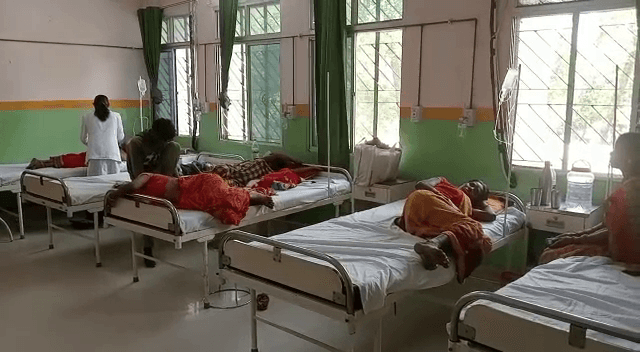 पति की लंबी उम्र के लिए कर रही थी कामना, तभी मधुमक्खियों ने कर दिया हमला, अस्पताल में भर्ती