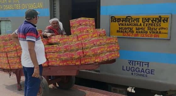 भागलपुर से दिल्ली दरबार पहुंची सौगात, जर्दालू आम का स्वाद चखेंगे राष्ट्रपति और प्रधानमंत्री