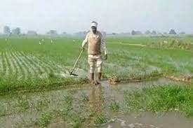 क्या झारखंड में करीब 70 फीसदी खेतों में खेती नहीं हो सकेगी! जानिये इसके पीछे क्या है कारण