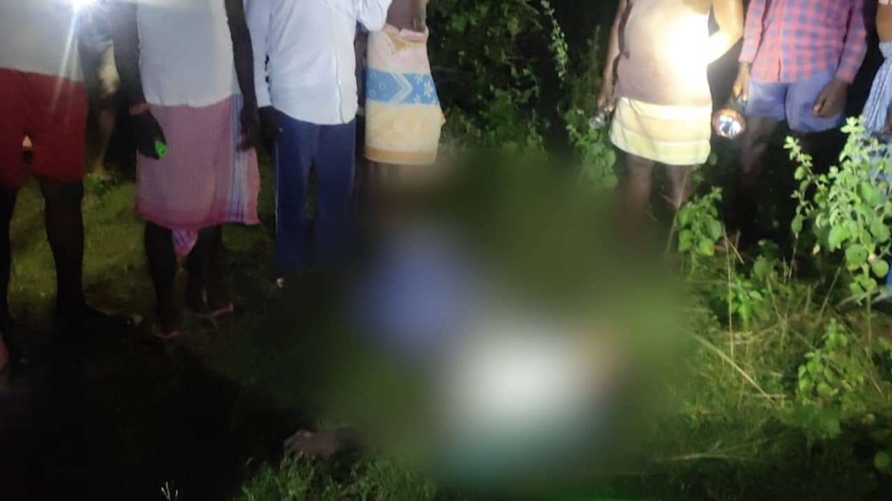 ईचागढ़ में जंगली हाथियों का उत्पात जारी,  बुजुर्ग की कुचलने से मौत, लोगों में दहशत