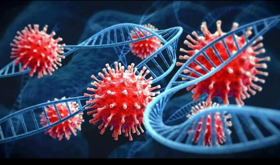 पिछले 24 घंटे में झारखंड में कोरोना के 53 केस मिले, रिम्स में मिला मरीज