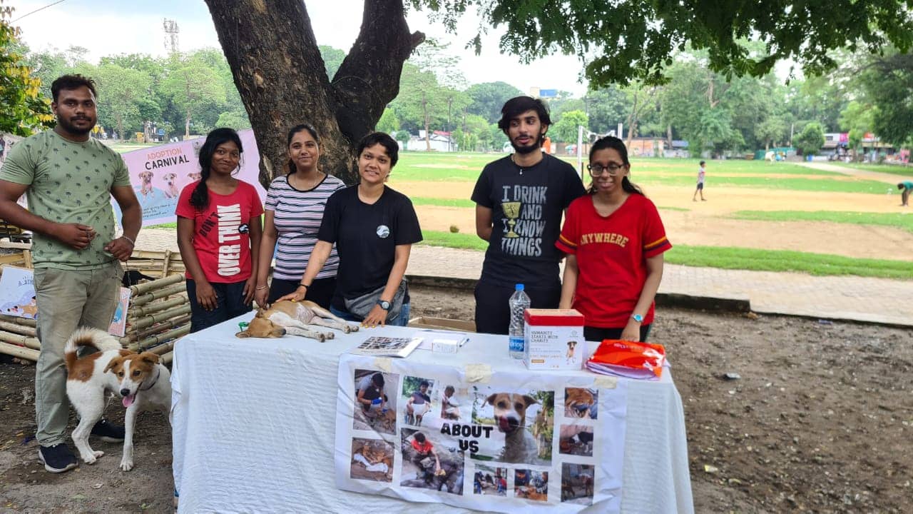 हम देशी , तो कुत्ते विदेशी क्यों ? लौह नगरी में स्ट्रीट डॉग और बिल्लियों को मिल आशियाना, लोगों ने बड़े प्यार से किया इनका स्वागत!