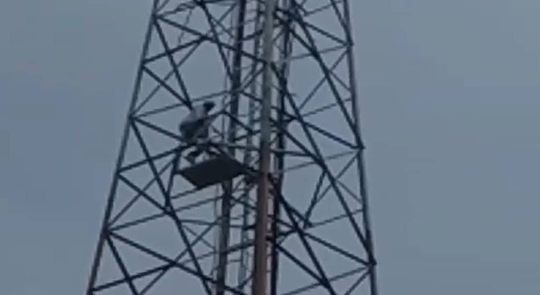  मोबाइल टावर पर चढ़ कर वार्ड पार्षद का हाईवोल्टेज ड्रामा, किसके कहने पर उतरे टावर से ,  पढ़िए पूरी खबर