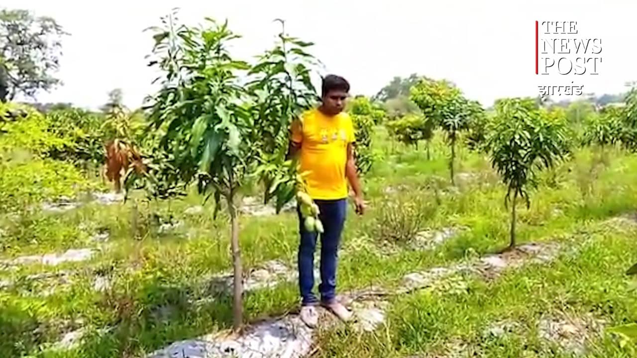 इजराइल की तर्ज पर खेती कर दूसरों के लिए बन रहे प्रेरणास्रोत गोड्डा के युवा किसान प्रीतम, जानिये जुनून की इस नई मिसाल को