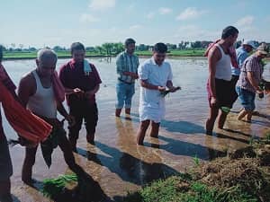 लुंगी पहन कर आखिर खेत में ये क्या करने लगे शेखपुरा के डीएम सावन कुमार, हो रही है तस्वीर वायरल