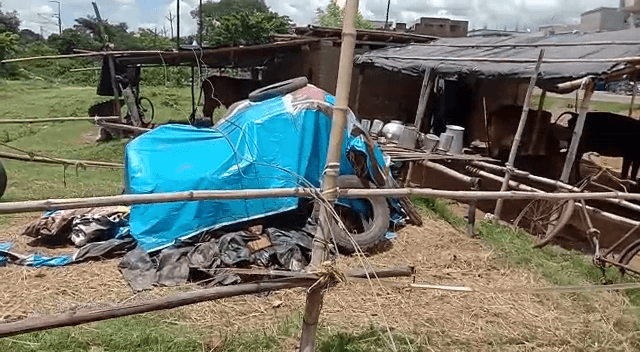 बिजली विभाग की लापरवाही : ग्यारह हजार वोल्ट के बिजली का पोल गिरा, बाल-बाल बचे कई लोग