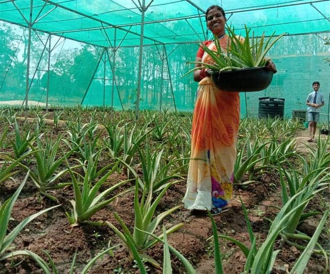 पीएम नरेंद्र मोदी ने मन की बात में रांची की किस महिला किसान का जिक्र किया....पढ़े पूरी खबर