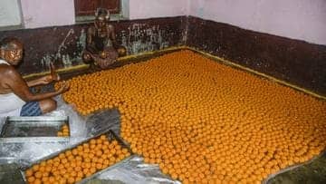 द्रौपदी मुर्मू के गांव में जश्न की तैयारी, 2 दिन से बन रही मिठाइयां, राष्ट्रपति चुनाव के नतीजों का इंतजार