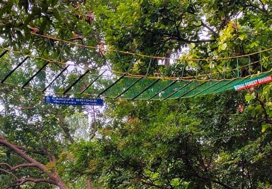 CHAIBASA: सारंडा के कैनोपी ब्रिज की जांच करने की मांग ग्रामीणों ने की