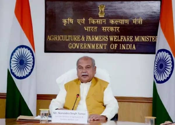 गेहूं का बंपर उत्पादन होने का अनुमान, क्या कहा कृषि मंत्री ने जानिए