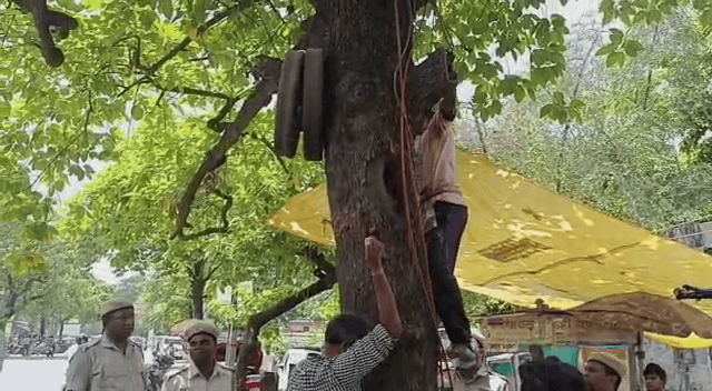 अच्छी पहल: अब पेड़ों पर कील ठोकना पड़ेगा मंहगा, ऐसा करने वालों पर वन विभाग करेगा कार्रवाई