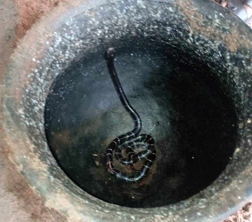 झाड़-फूंक में लगे रहे लोग, और हो गई महिला की मौत, जानिए वजह