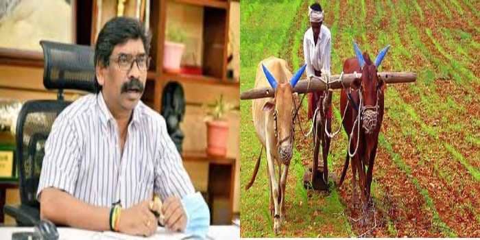 झारखंड के किसानों के लिए बड़ा दिन, हेमंत कैबिनेट में हो सकता है बड़ा एलान