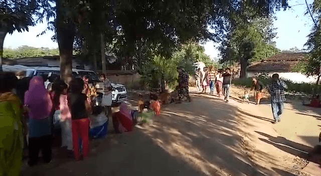 बच्चे की मौत ! हत्या की आशंका पर डॉग स्क्वायड की टीम के मदद से मौत की गुत्थी सुलझाने में जुटी पुलिस