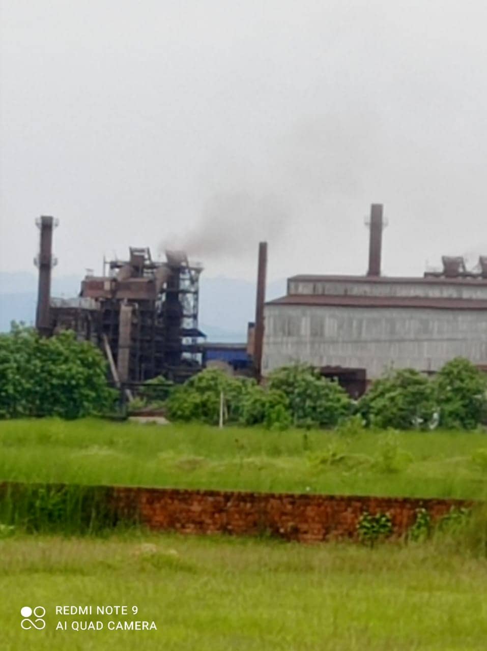 सांप काटने से रसोइए की मौत