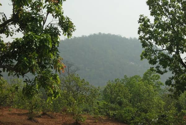 रहस्यमयी गुफाओं के साथ बहता झरना, पिकनिक के लिए बोकारो झुमरा पहाड़ है बेहद खूबसूरत
