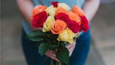 ROSE DAY 2023 : रिश्ते बनाने और सराहने में मददगार होते हैं सुन्दर और सुगंधित गुलाब, समझिए गुलाबों के रंग के मायनें