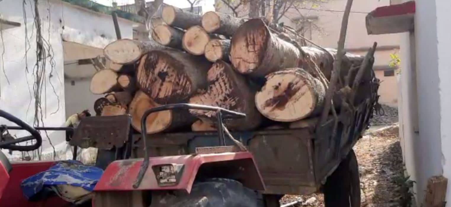 दुमका : अवैध लकड़ी लदा ट्रैक्टर जब्त, वन विभाग और पुलिस की संयुक्त कार्रवाई 