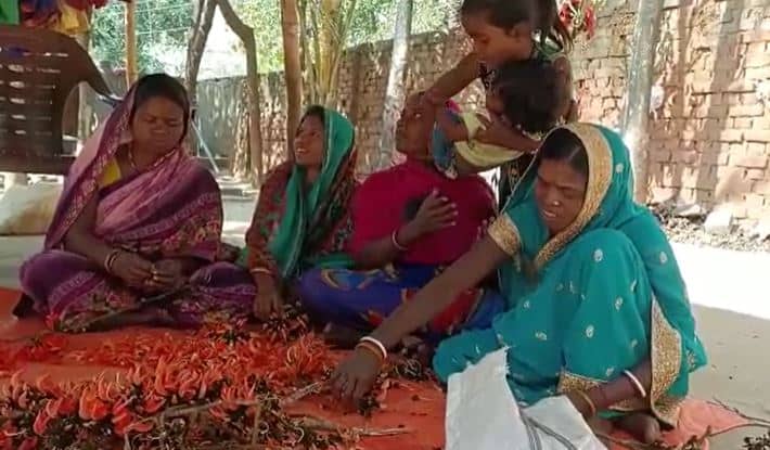 दुमका: पलाश के फूल से हर्बल गुलाल बना रही महिलाएं, होली में स्किन पर नहीं पड़ेगा कोई असर