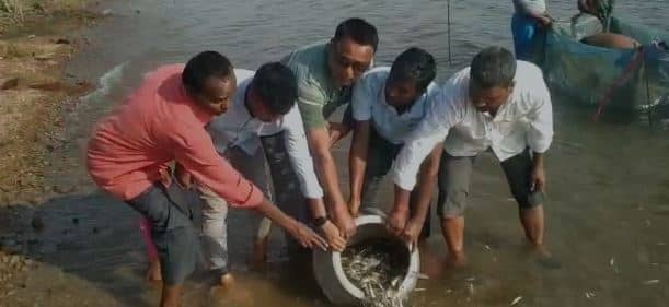 बोकारो:  तेनुघाट जलाशय में 2.80 लाख मत्स्य अंगुलिकाओं का किया गया संचयन, बढ़ेगा रोजगार