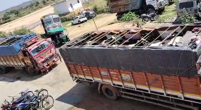 बंगाल ले जाया जा रहा तीन ट्रक गोवंश जब्त, तस्कर गिरफ्तार  