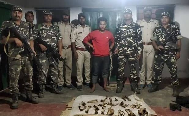बेतिया में भारी मात्रा में तेंदुआ का कंकाल बरामद, एक नेपाली तस्कर गिरफ्तार