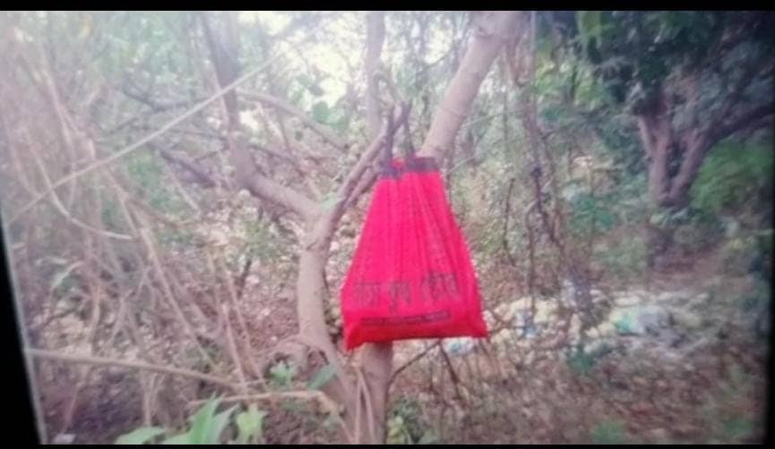 कलयुगी मां की शर्मनाक हरकत, बच्चे को जंगल में फेंका, रातभर बारिश में भींगता रहा 1 दिन का नवजात   