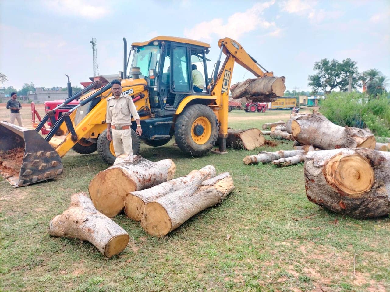अवैध आरा मिलों के खिलाफ वन विभाग का अभियान, विभाग द्वारा लाखों की लकड़ी जब्त, कारोबारियों में हड़कंप