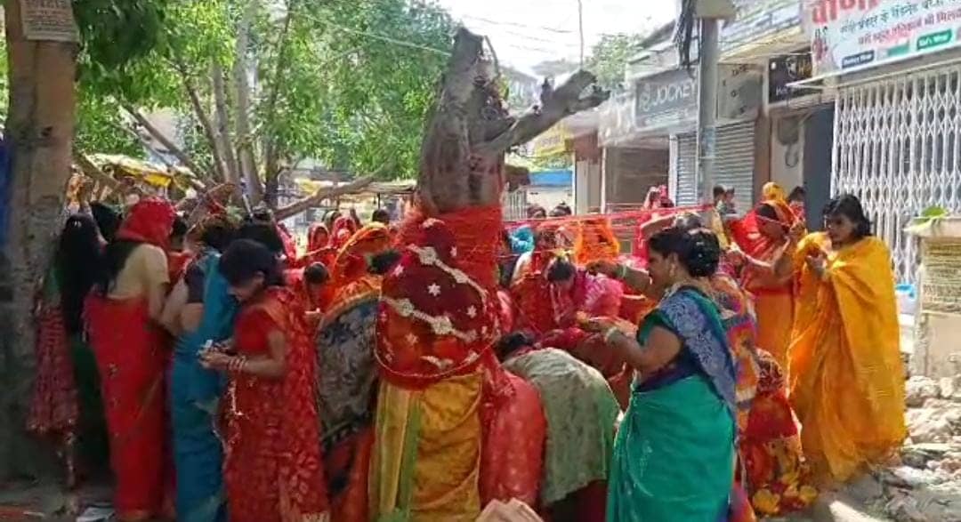 वट सावित्री: लाल जोड़े में पूजा करने पहुंच रही हैं महिलाएं, अखंड सौभाग्य के लिए उपवास