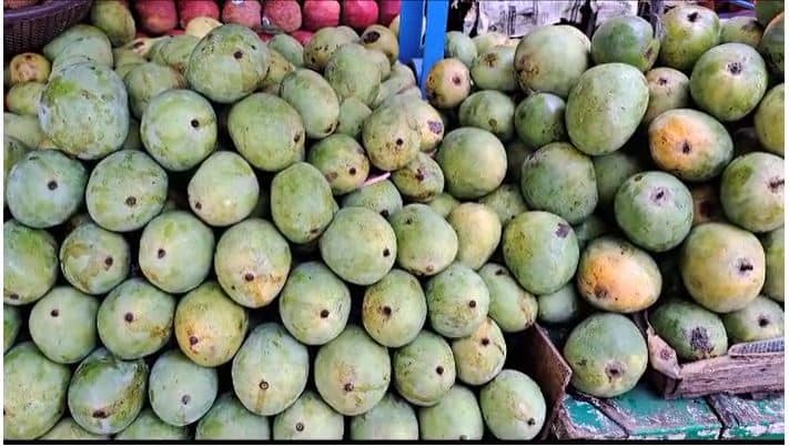 मौसम बिगाड़ेगा फलों के राजा ‘आम’ का जाएका, बारिश नहीं होने से चिंतित किसान, कार्बाइड वाला आम बेचने की तैयारी...