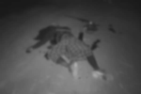 BREAKING: भाकपा माओवादी का एरिया कमांडर लाजिम अंसारी मुठभेड़ में ढेर