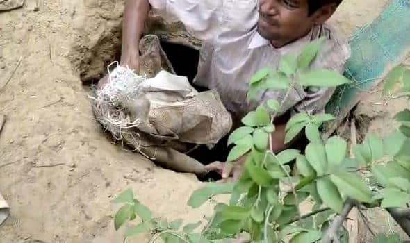 बिहार में अब कब्र से निकल रहें है देसी शराब, जानिए क्या है पूरा मामला