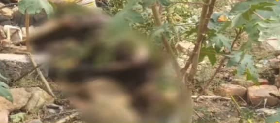 कोडरमा में रेलवे ओवर ब्रिज के नीचे मिला नर कंकाल, जांच में जुटी पुलिस  