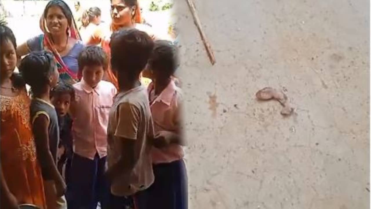 मध्यान भोजन में छिपकली मिलने से कई बच्चे बीमार, झारखंड के इस जिले का है मामला