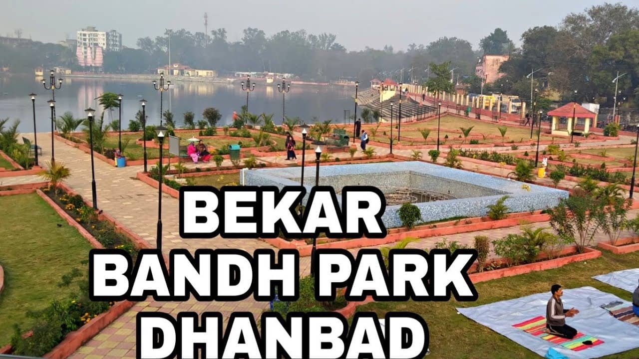 DHANBAD: तालाब में झारखंड के पहले सीवरेज ट्रीटमेंट प्लांट का वर्तमान हाल तो देखिये हुजूर 