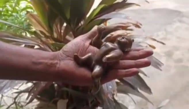 उप्र के दंपती से अष्टधातु की मूर्ति बरामद, पुलिस ने पकड़ा