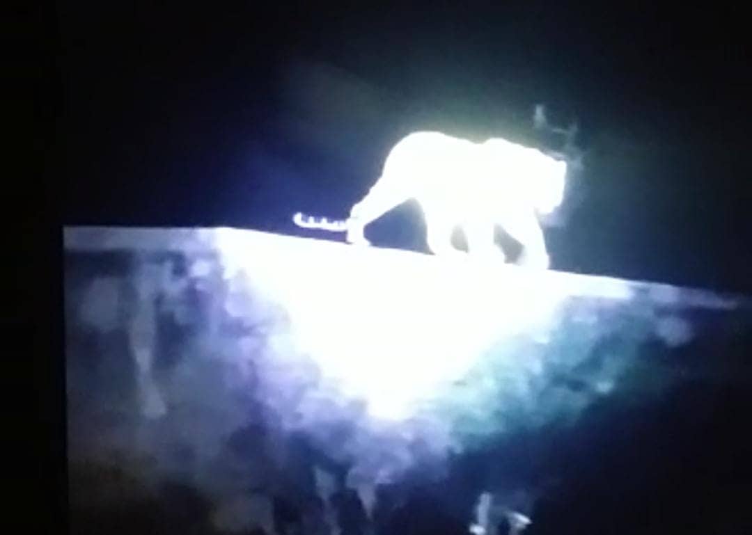 रेलवे परिसर में बाघ को दहाड़ते देख लोगों में दहशत, सता रहा जान का डर