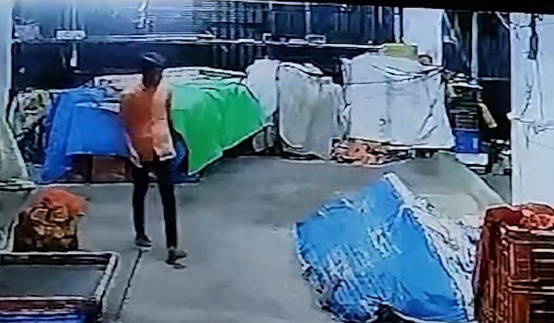 महंगाई की मार का ऐसा हुआ हाल, अब टमाटर की चोरी कर चोर मालामाल