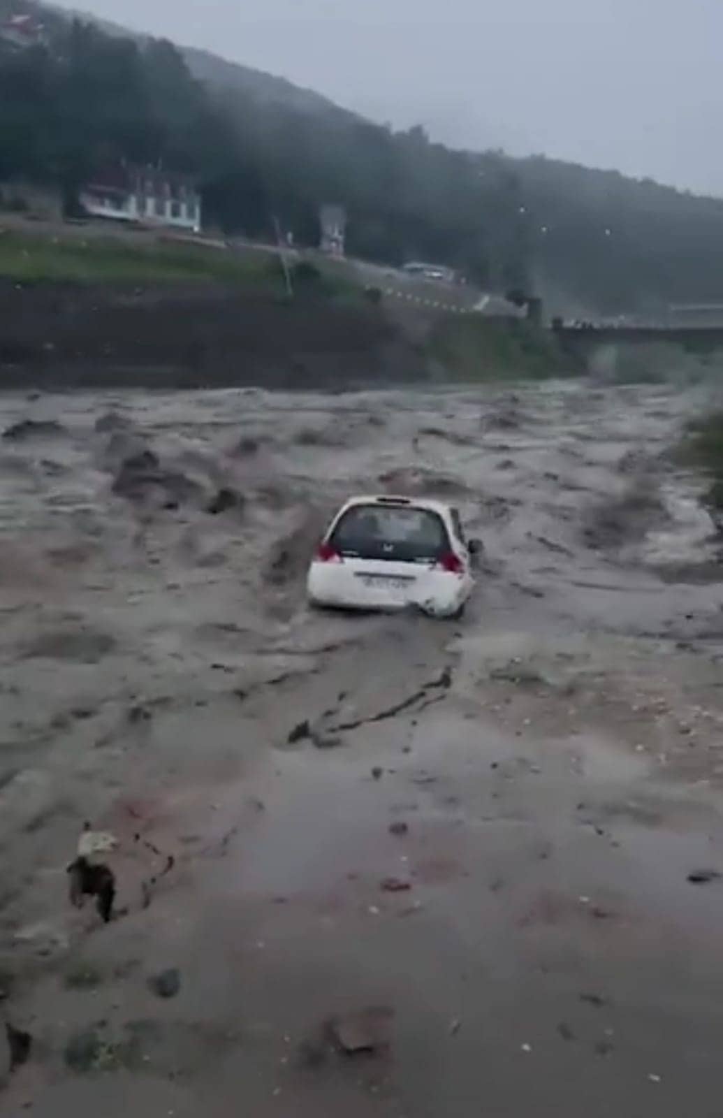 हिमाचल प्रदेश में बारिश का कहर, करोड़ों का नुकसान, 15 से अधिक लोगों की मौत