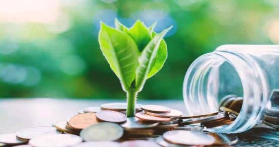 शेयर बाजार में तेजी का दिखा असर, स्मॉल कैप फंड में बढ़ा निवेश