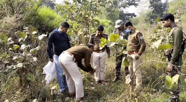 सड़क किनारे जंगल में मिला महिला का कटा सिर, इलाके में हड़कंप