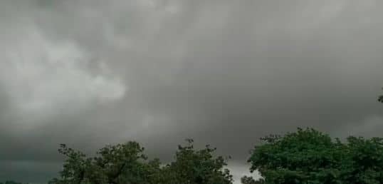 झारखंड में 46 फसीदी से कम हुई बारिश, किसानों की उम्मीदें अभी भी है जिंदा...