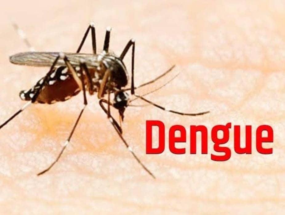 डेंगू के मरीज खाएं ये चीजें,  2 दिन में ही डेंगू हो जाएगा गायब 