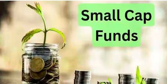 स्मॉल कैप म्यूचूअल देता है छप्पर फाड़ के रिटर्न, जहां जोखिम तो है लेकिन फायदा भी बेशुमार है. जानिए विस्तार से