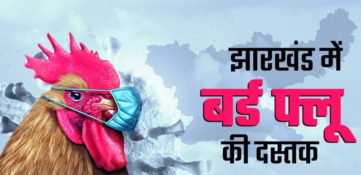 सावधान! झारखंड में बर्ड फ्लू की एंट्री, रिम्स में पाया गया मरीज